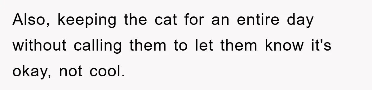 Also, keeping the cat for an entire day without calling them to let them know it's okay, not cool.