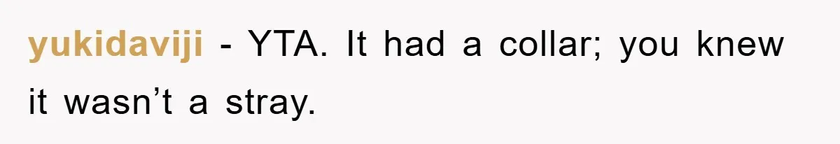 yukidaviji − YTA. It had a collar; you knew it wasn’t a stray.