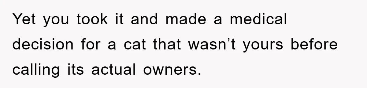 Yet you took it and made a medical decision for a cat that wasn’t yours before calling its actual owners.