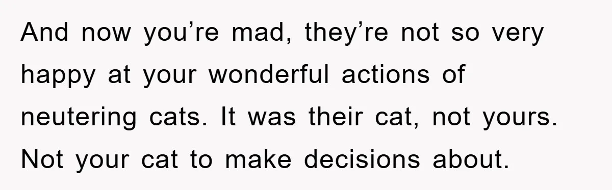 And now you’re mad, they’re not so very happy at your wonderful actions of neutering cats. It was their cat, not yours. Not your cat to make decisions about.