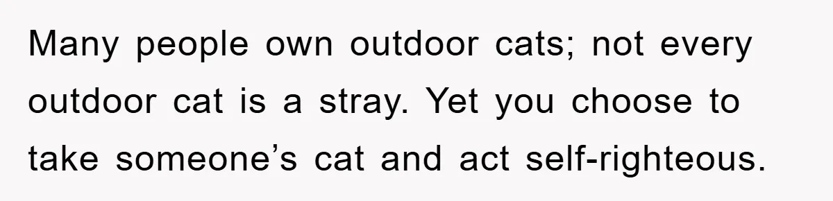 Many people own outdoor cats; not every outdoor cat is a stray. Yet you choose to take someone’s cat and act self-righteous.