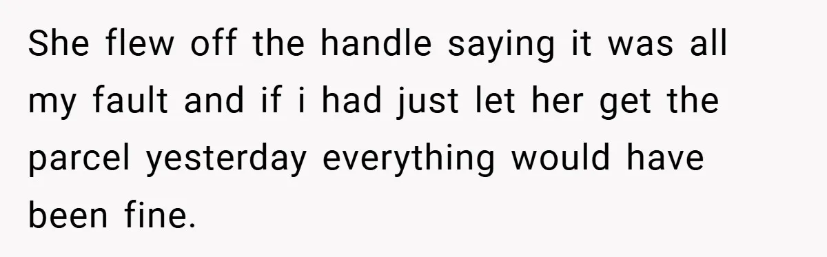 She flew off the handle saying it was all my fault and if i had just let her get the parcel yesterday everything would have been fine.