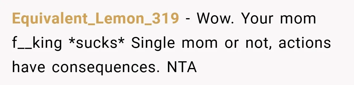 Equivalent_Lemon_319 − Wow. Your mom f__king *sucks* Single mom or not, actions have consequences. NTA