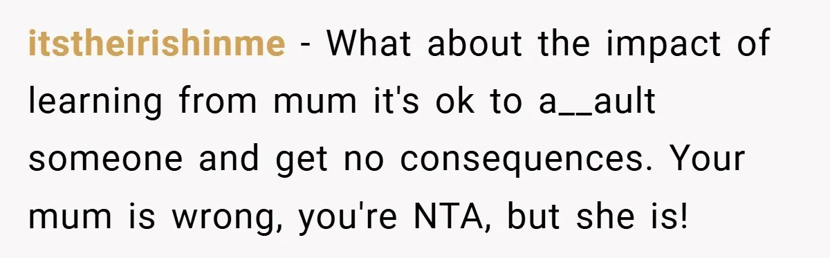 itstheirishinme − What about the impact of learning from mum it's ok to a__ault someone and get no consequences. Your mum is wrong, you're NTA, but she is!