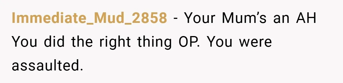 Immediate_Mud_2858 − Your Mum’s an AH You did the right thing OP. You were assaulted.