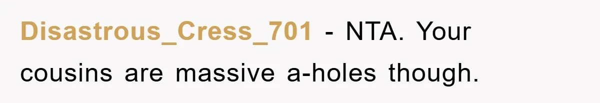 Man Rejects Biological Son Because He Never Wants To Be A Dad, But The True Reason Suggests He Is Not To Blame Disastrous_Cress_701 − NTA. Your cousins are massive a-holes though.