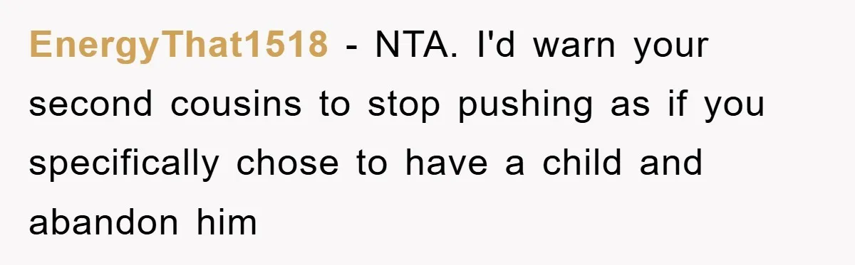 Man Rejects Biological Son Because He Never Wants To Be A Dad, But The True Reason Suggests He Is Not To Blame EnergyThat1518 − NTA. I'd warn your second cousins to stop pushing as if you specifically chose to have a child and abandon him