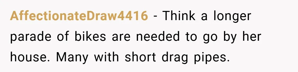Motorcycle Rider’s ‘Revenge’ On Karen Who Tried To Block Him Leaves The Whole Neighborhood Suffering AffectionateDraw4416 − Think a longer parade of bikes are needed to go by her house. Many with short drag pipes.