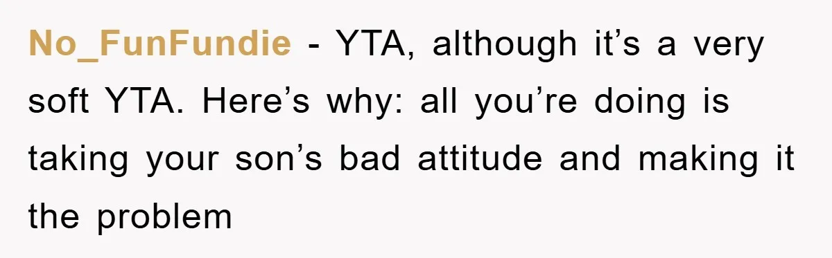 Mom Makes Teen Son Volunteer At Zoo After His Insulting Comment About Zookeepers No_FunFundie − YTA, although it’s a very soft YTA. Here’s why: all you’re doing is taking your son’s bad attitude and making it the problem