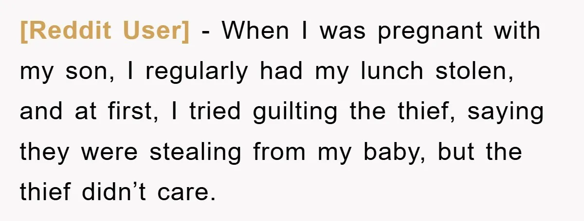 [Reddit User] − When I was pregnant with my son, I regularly had my lunch stolen, and at first, I tried guilting the thief, saying they were stealing from my...