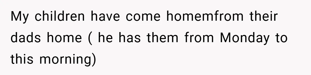 My children have come homemfrom their dads home ( he has them from Monday to this morning)