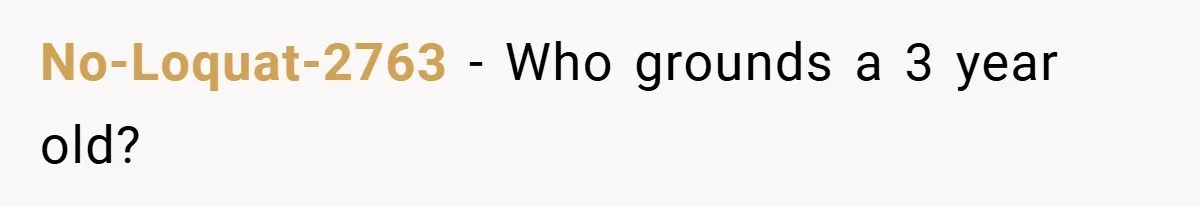 No-Loquat-2763 − Who grounds a 3 year old?