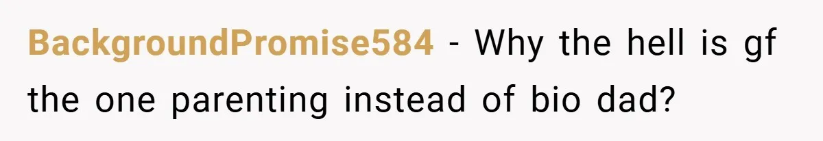 BackgroundPromise584 − Why the hell is gf the one parenting instead of bio dad?