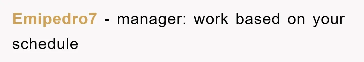 Emipedro7 − manager: work based on your schedule