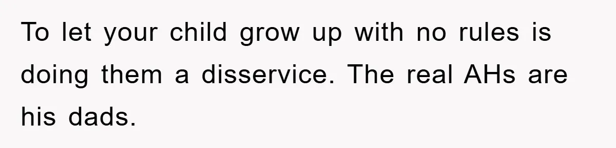 To let your child grow up with no rules is doing them a disservice. The real AHs are his dads.