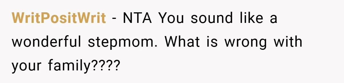 WritPositWrit − NTA You sound like a wonderful stepmom. What is wrong with your family????