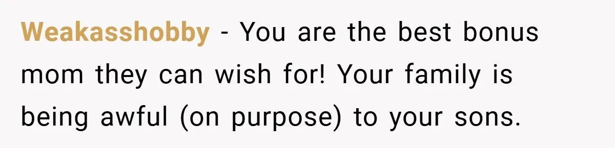 Weakasshobby − You are the best bonus mom they can wish for! Your family is being awful (on purpose) to your sons.