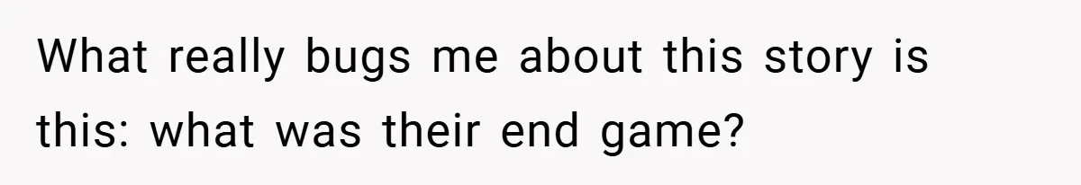 What really bugs me about this story is this: what was their end game?