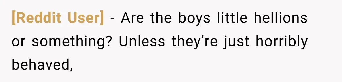 [Reddit User] − Are the boys little hellions or something? Unless they’re just horribly behaved,