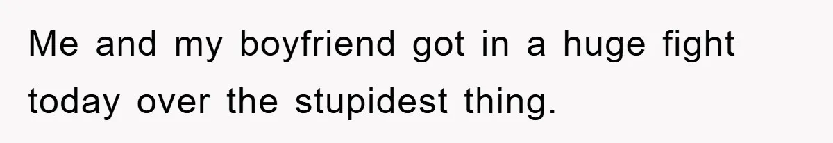 Me and my boyfriend got in a huge fight today over the stupidest thing.