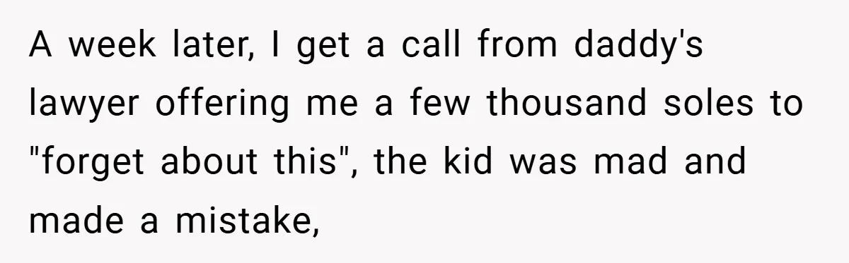A week later, I get a call from daddy's lawyer offering me a few thousand soles to "forget about this", the kid was mad and made a mistake,