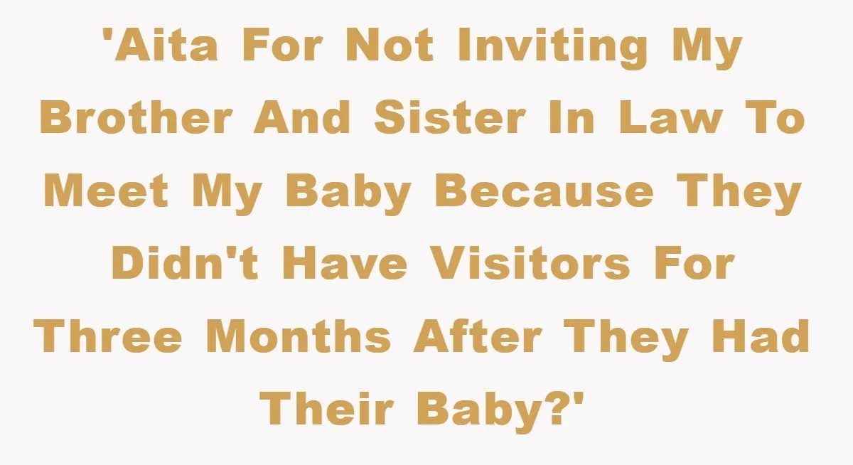 'AITA for not inviting my brother and sister in law to meet my baby because they didn't have visitors for three months after they had their baby?'
