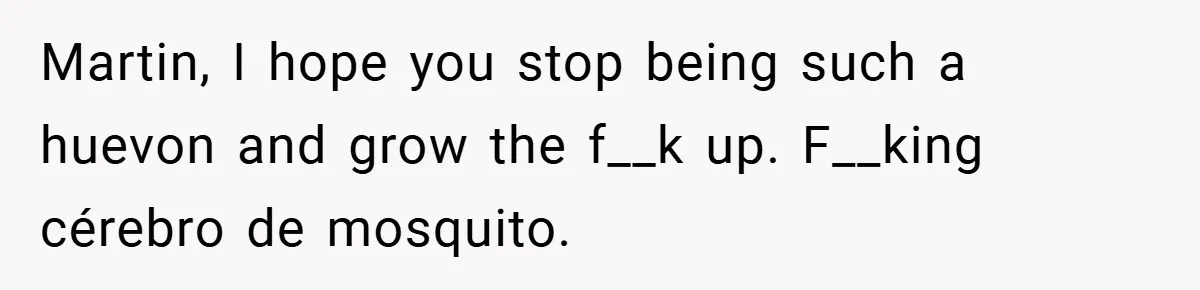Martin, I hope you stop being such a huevon and grow the f__k up. F__king cérebro de mosquito.