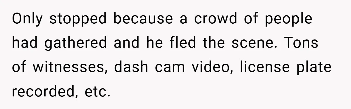 Only stopped because a crowd of people had gathered and he fled the scene. Tons of witnesses, dash cam video, license plate recorded, etc.