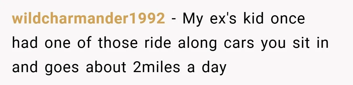 Brother And Sister-In-Law Told To Buy Expensive Gifts For Christmas, So They Bought The Most Annoying Toys Instead wildcharmander1992 − My ex's kid once had one of those ride along cars you sit in and goes about 2miles a day