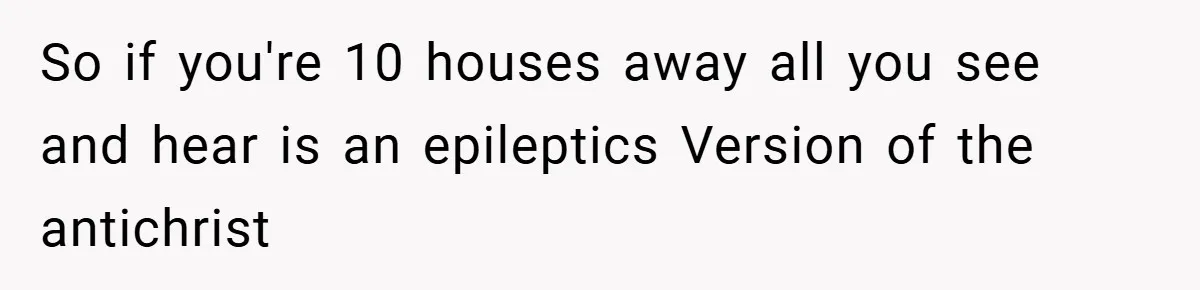 Brother And Sister-In-Law Told To Buy Expensive Gifts For Christmas, So They Bought The Most Annoying Toys Instead So if you're 10 houses away all you see and hear is an epileptics Version of the antichrist