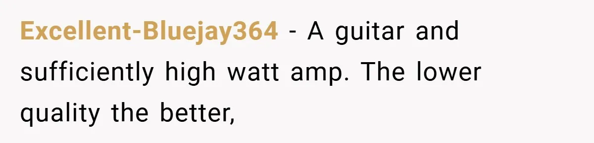 Brother And Sister-In-Law Told To Buy Expensive Gifts For Christmas, So They Bought The Most Annoying Toys Instead Excellent-Bluejay364 − A guitar and sufficiently high watt amp. The lower quality the better,