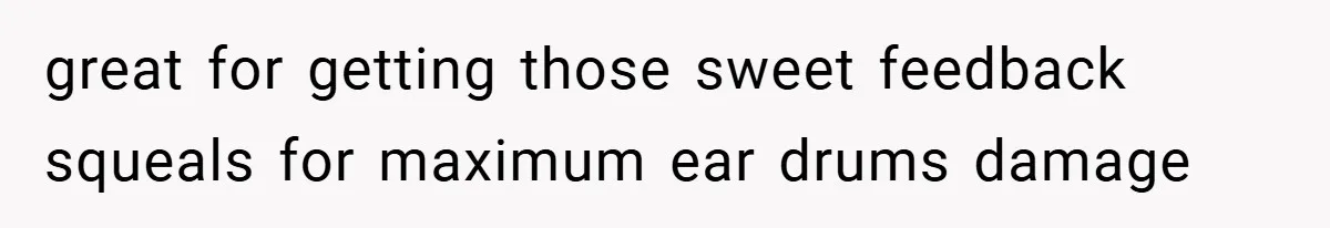 Brother And Sister-In-Law Told To Buy Expensive Gifts For Christmas, So They Bought The Most Annoying Toys Instead great for getting those sweet feedback squeals for maximum ear drums damage