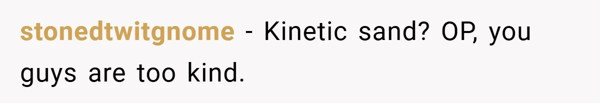 Brother And Sister-In-Law Told To Buy Expensive Gifts For Christmas, So They Bought The Most Annoying Toys Instead stonedtwitgnome − Kinetic sand? OP, you guys are too kind.