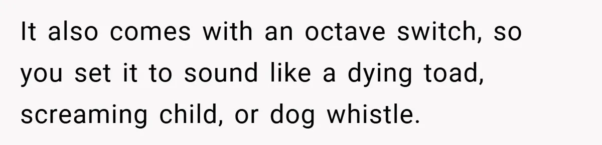 Brother And Sister-In-Law Told To Buy Expensive Gifts For Christmas, So They Bought The Most Annoying Toys Instead It also comes with an octave switch, so you set it to sound like a dying toad, screaming child, or dog whistle.
