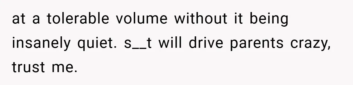 Brother And Sister-In-Law Told To Buy Expensive Gifts For Christmas, So They Bought The Most Annoying Toys Instead at a tolerable volume without it being insanely quiet. s__t will drive parents crazy, trust me.