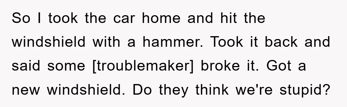 So I took the car home and hit the windshield with a hammer. Took it back and said some [troublemaker] broke it. Got a new windshield. Do they think we're...