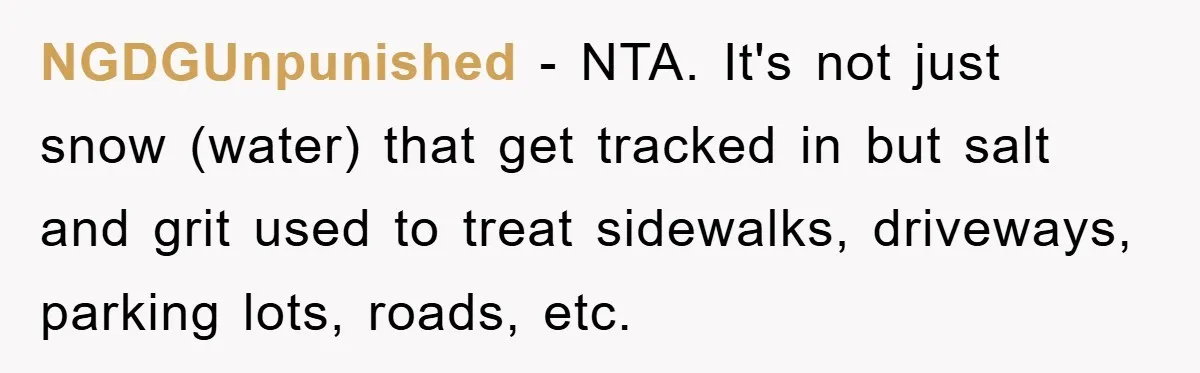 NGDGUnpunished − NTA. It's not just snow (water) that get tracked in but salt and grit used to treat sidewalks, driveways, parking lots, roads, etc.