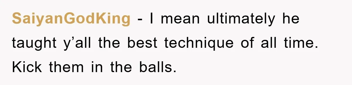 SaiyanGodKing − I mean ultimately he taught y’all the best technique of all time. Kick them in the balls.