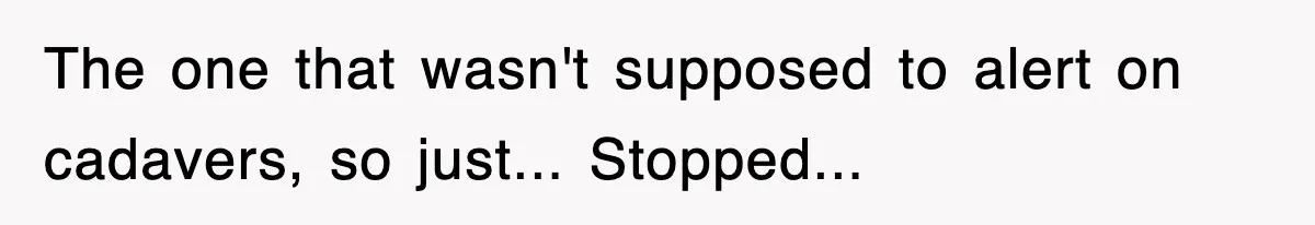 Professor Told Student To ‘Toughen Up’, So They Brought A Cadaver Dog And Human Remains To Class The one that wasn't supposed to alert on cadavers, so just... Stopped...