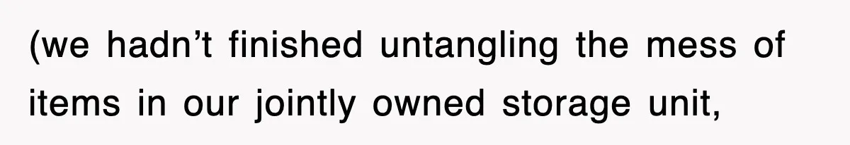 (we hadn’t finished untangling the mess of items in our jointly owned storage unit,