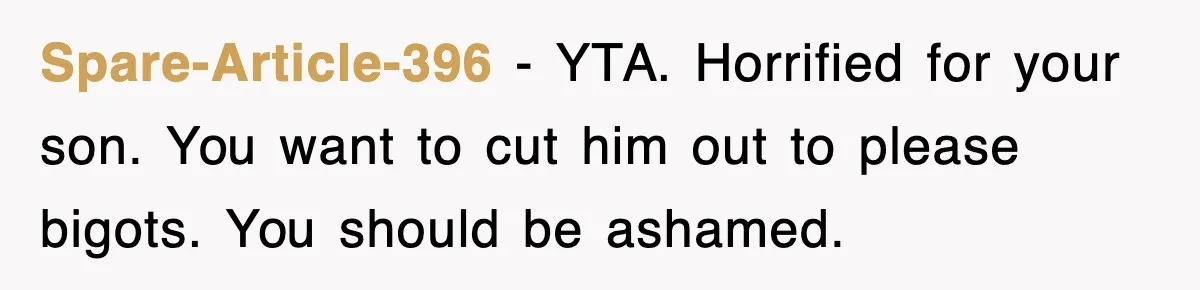 Spare-Article-396 - YTA. Horrified for your son. You want to cut him out to please bigots. You should be ashamed.