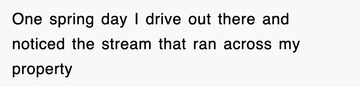 Rude Neighbor Destroyed Woman's Property, So She Sold The Land Just To Make Her Miserable Forever One spring day I drive out there and noticed the stream that ran across my property