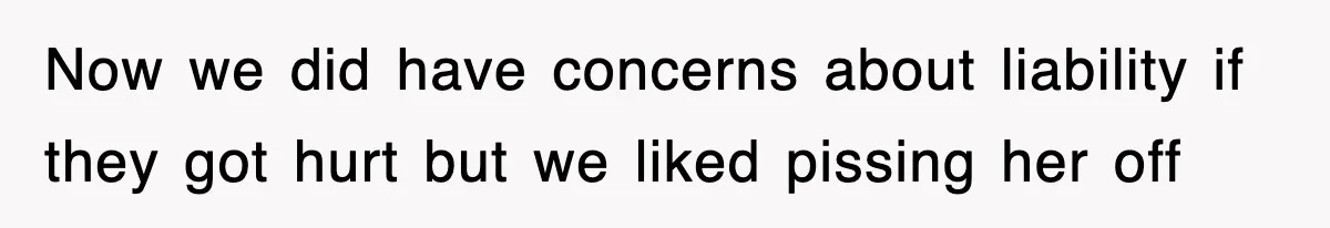 Rude Neighbor Destroyed Woman's Property, So She Sold The Land Just To Make Her Miserable Forever Now we did have concerns about liability if they got hurt but we liked pissing her off