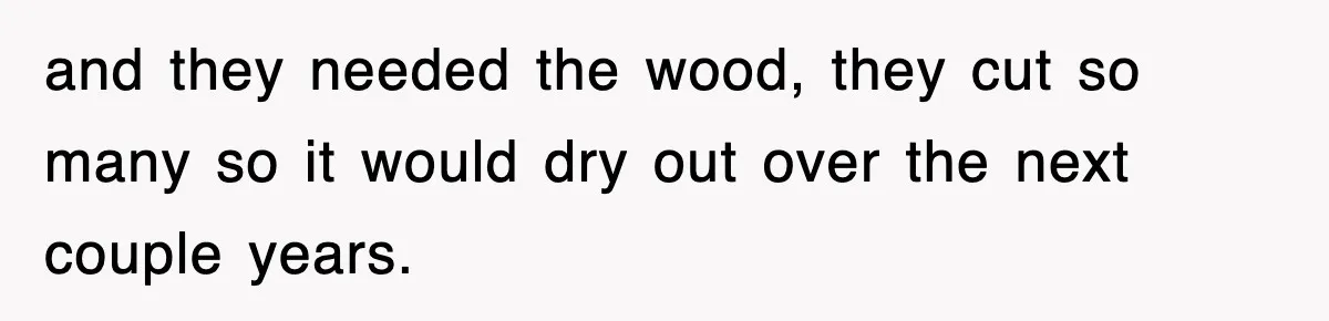 Rude Neighbor Destroyed Woman's Property, So She Sold The Land Just To Make Her Miserable Forever and they needed the wood, they cut so many so it would dry out over the next couple years.