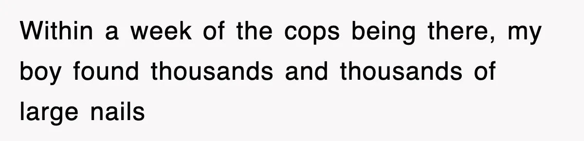 Rude Neighbor Destroyed Woman's Property, So She Sold The Land Just To Make Her Miserable Forever Within a week of the cops being there, my boy found thousands and thousands of large nails