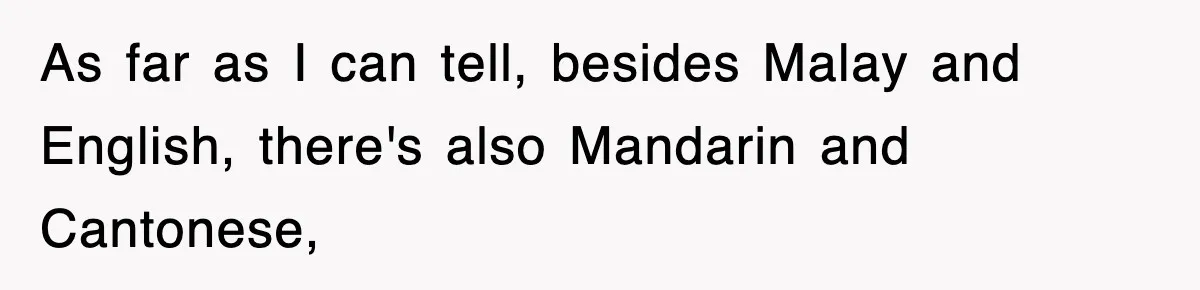 As far as I can tell, besides Malay and English, there's also Mandarin and Cantonese,