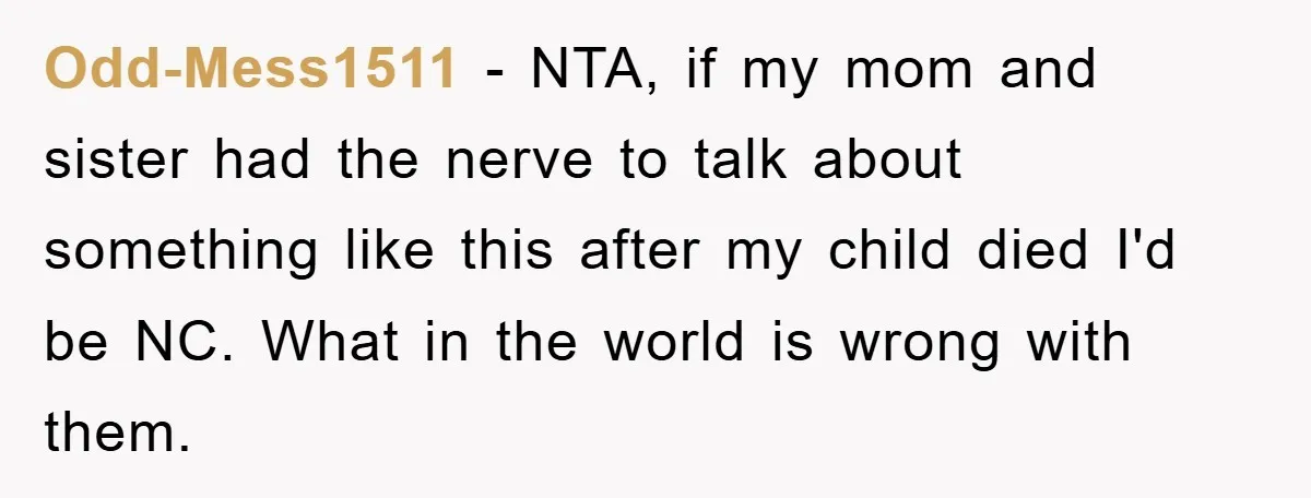 Odd-Mess1511 - NTA, if my mom and sister had the nerve to talk about something like this after my child died I'd be NC. What in the world is wrong...
