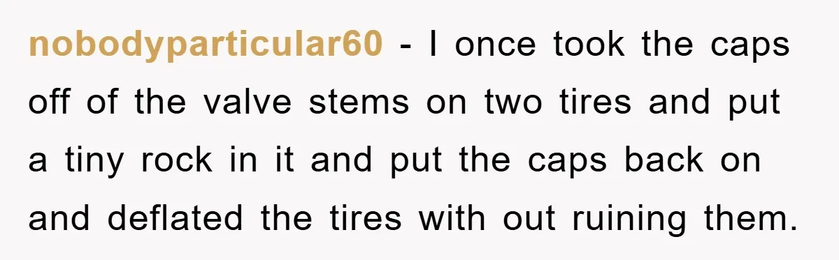 nobodyparticular60 - I once took the caps off of the valve stems on two tires and put a tiny rock in it and put the caps back on and deflated...