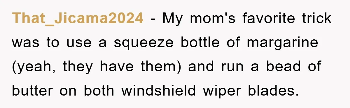 That_Jicama2024 - My mom's favorite trick was to use a squeeze bottle of margarine (yeah, they have them) and run a bead of butter on both windshield wiper blades.
