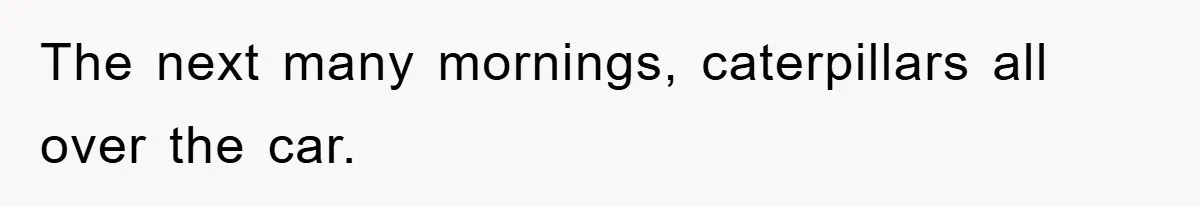 The next many mornings, caterpillars all over the car.